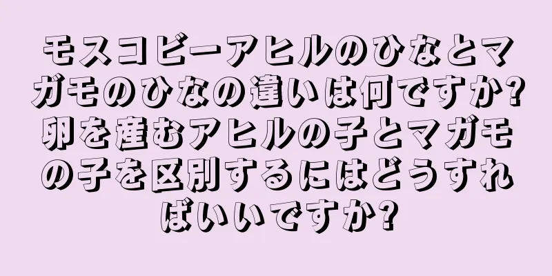 モスコビーアヒルのひなとマガモのひなの違いは何ですか?卵を産むアヒルの子とマガモの子を区別するにはどうすればいいですか?