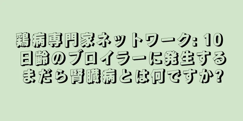 鶏病専門家ネットワーク: 10 日齢のブロイラーに発生するまだら腎臓病とは何ですか?