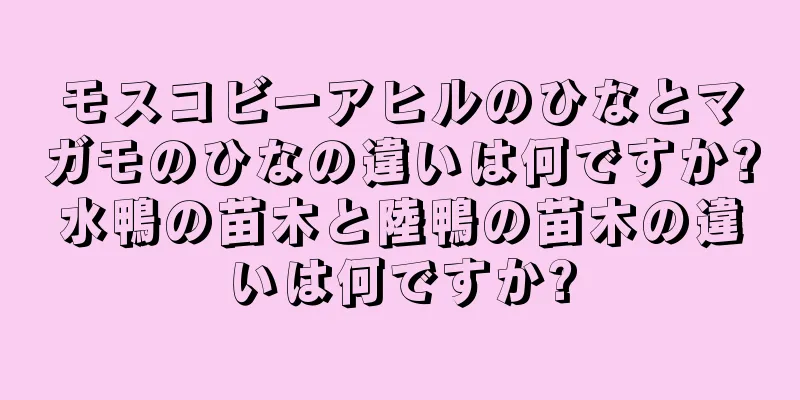 モスコビーアヒルのひなとマガモのひなの違いは何ですか?水鴨の苗木と陸鴨の苗木の違いは何ですか?