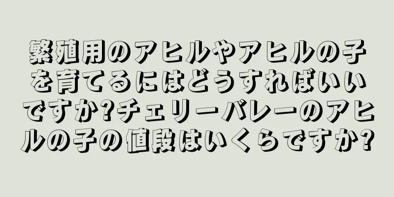 繁殖用のアヒルやアヒルの子を育てるにはどうすればいいですか?チェリーバレーのアヒルの子の値段はいくらですか?