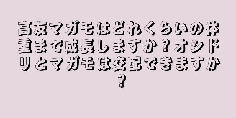 高友マガモはどれくらいの体重まで成長しますか？オシドリとマガモは交配できますか？