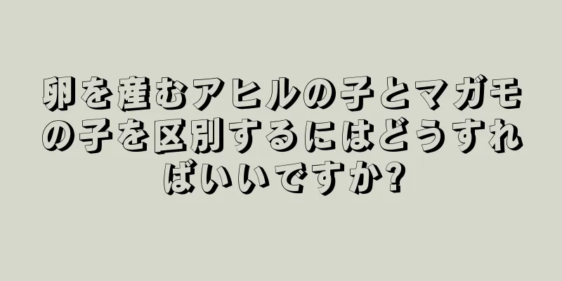 卵を産むアヒルの子とマガモの子を区別するにはどうすればいいですか?