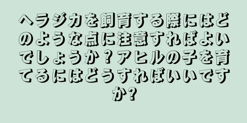 ヘラジカを飼育する際にはどのような点に注意すればよいでしょうか？アヒルの子を育てるにはどうすればいいですか?