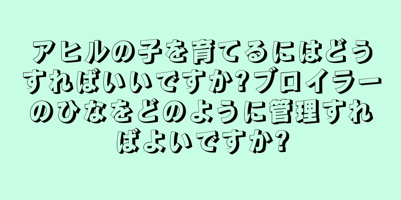 アヒルの子を育てるにはどうすればいいですか?ブロイラーのひなをどのように管理すればよいですか?