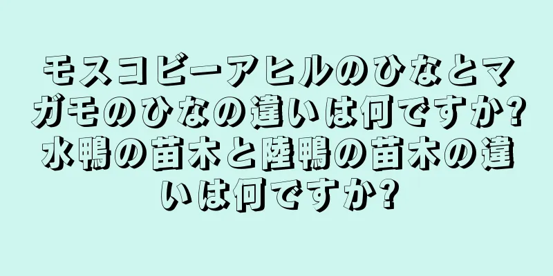 モスコビーアヒルのひなとマガモのひなの違いは何ですか?水鴨の苗木と陸鴨の苗木の違いは何ですか?
