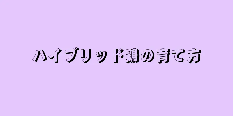 ハイブリッド鶏の育て方