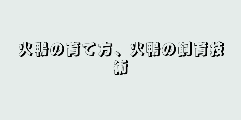 火鴨の育て方、火鴨の飼育技術