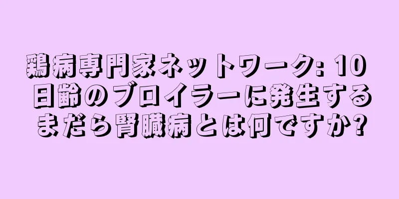 鶏病専門家ネットワーク: 10 日齢のブロイラーに発生するまだら腎臓病とは何ですか?
