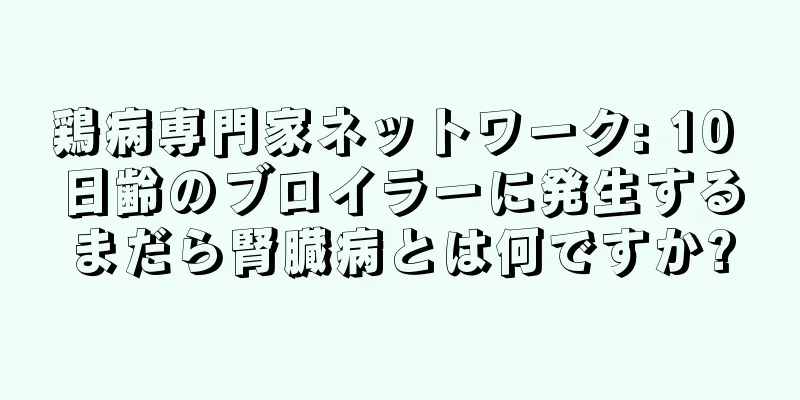 鶏病専門家ネットワーク: 10 日齢のブロイラーに発生するまだら腎臓病とは何ですか?