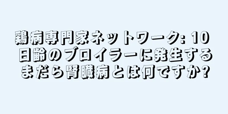 鶏病専門家ネットワーク: 10 日齢のブロイラーに発生するまだら腎臓病とは何ですか?