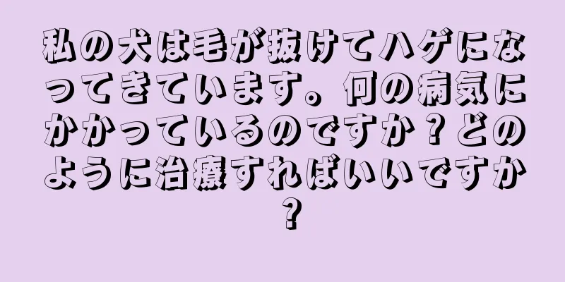私の犬は毛が抜けてハゲになってきています。何の病気にかかっているのですか？どのように治療すればいいですか？