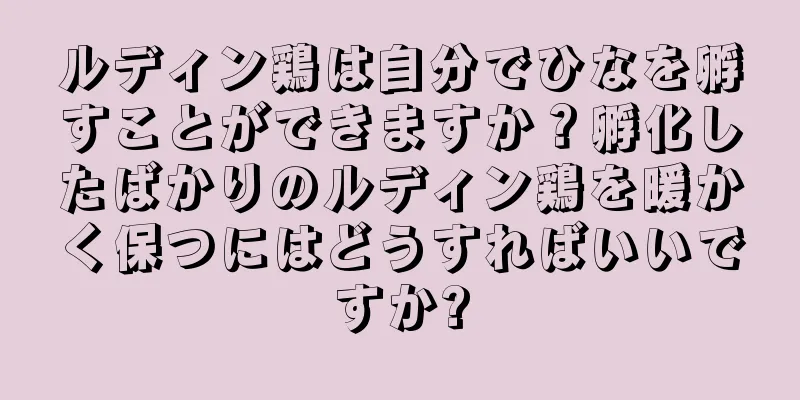 ルディン鶏は自分でひなを孵すことができますか？孵化したばかりのルディン鶏を暖かく保つにはどうすればいいですか?
