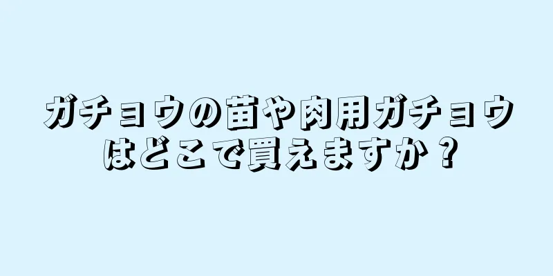 ガチョウの苗や肉用ガチョウはどこで買えますか？