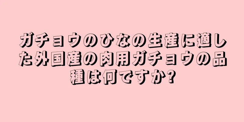 ガチョウのひなの生産に適した外国産の肉用ガチョウの品種は何ですか?