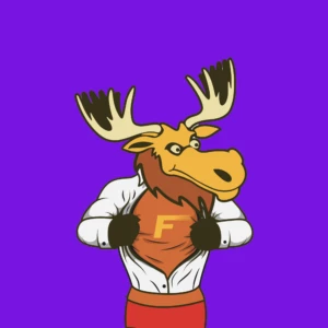 FastMoose: テキサス州ダラスで、年間9ドルから始まる格安の共有プラン！再販業者も利用可能！