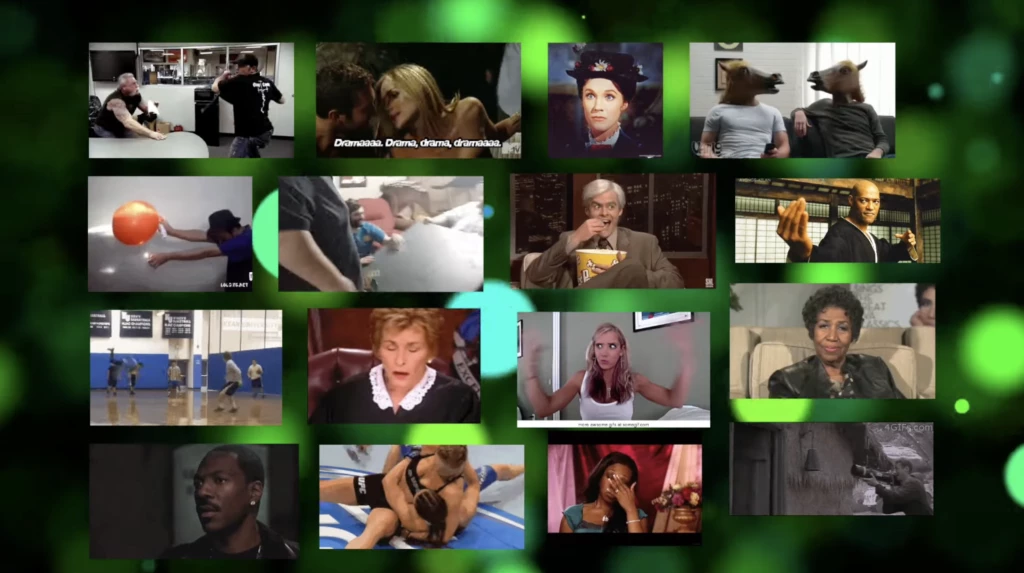 「インターネットの広大なサバンナでは、思いもよらぬ生息地で珍しいドラマが繰り広げられます...」