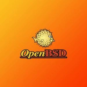 OpenBSD 7.8 がリリースされました - マルチスレッド TCP/IP を搭載しました!