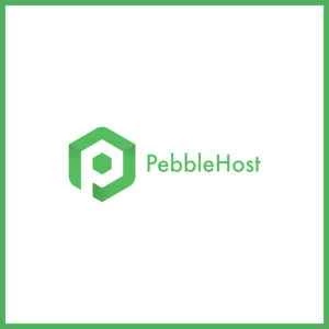 月額19.99ドルから始まる格安専用サーバー！PebbleHostのセールをチェック！