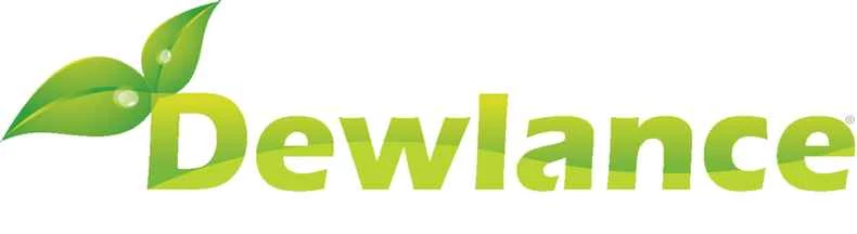 Dewlance との短い会話から、2 つの素晴らしいオファーが見つかりました。