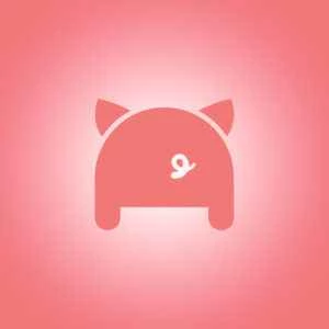 コマンドライン DNS: シェルスクリプトで Porkbun API を使用する