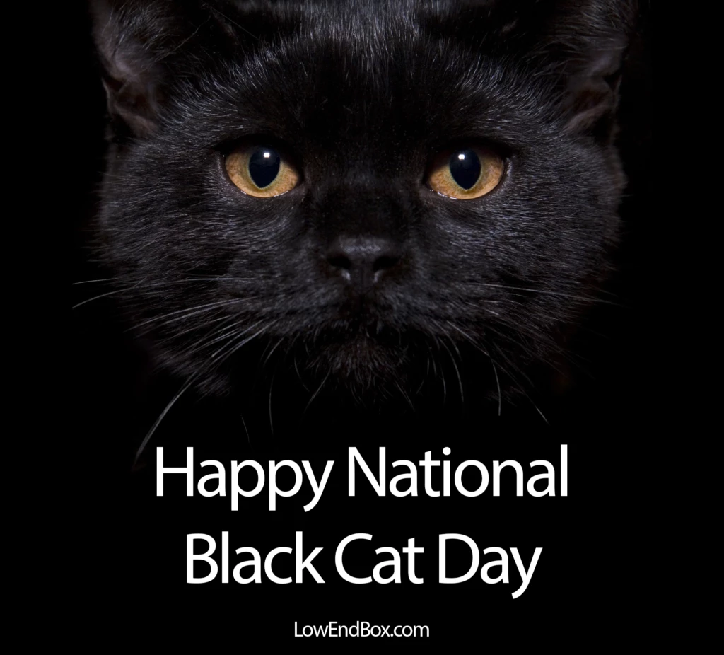 毎日の写真であなたの一日を楽しくしましょう！