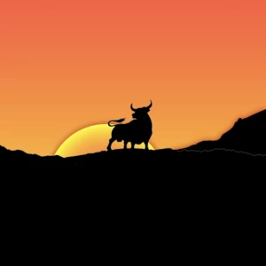 InternetBS.netからドメインを即時移管する方法（待機期間なし）