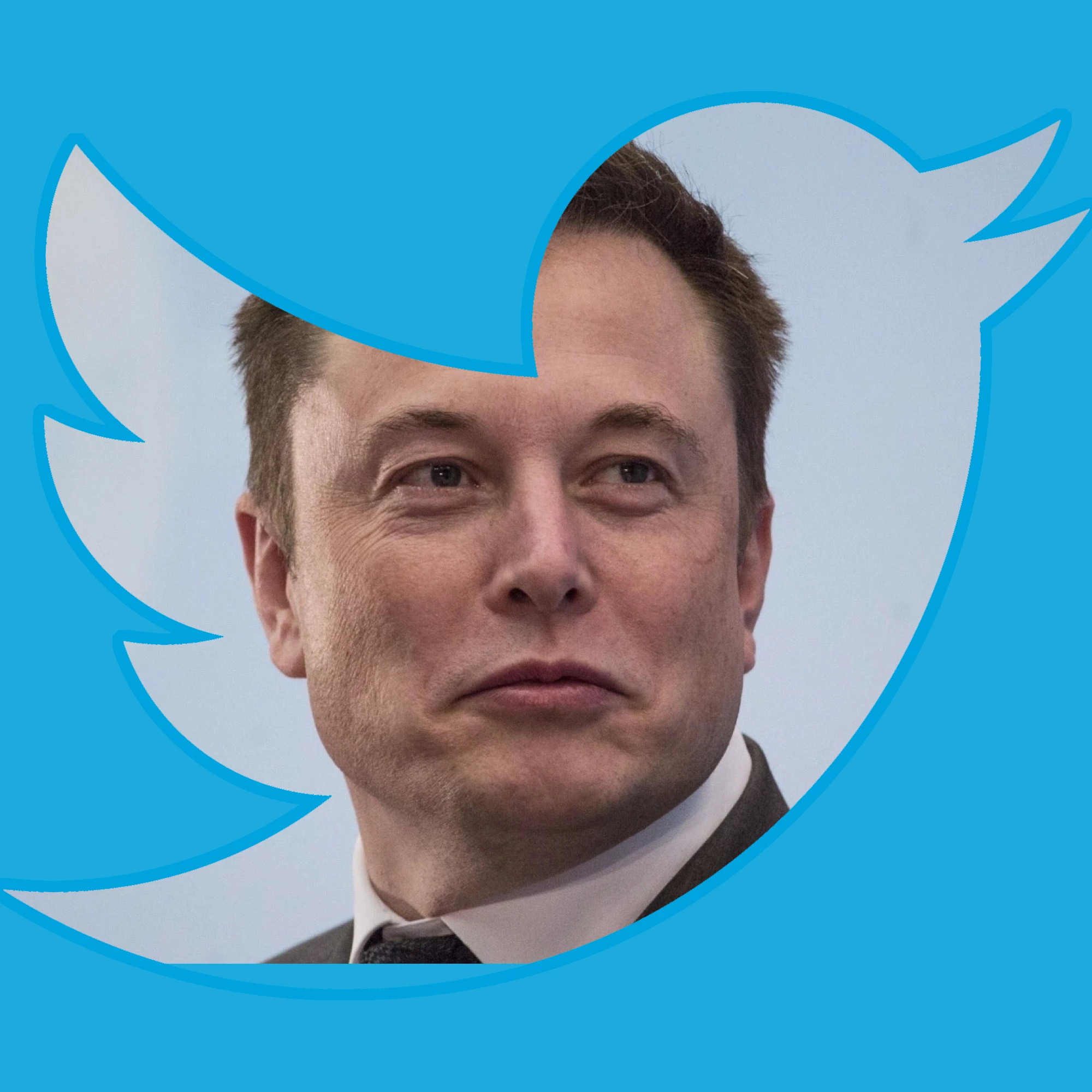 みんなが Twitter で楽しんでいるのに、なぜ私たちは楽しめないのか?