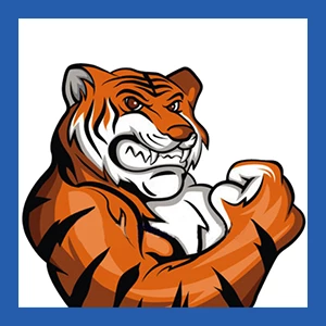 Hostigger からトルコのイスタンブールで 8GB の格安 VPS を月額 5.99 ドルで入手しましょう!