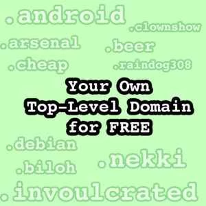 独自のトップレベルドメインを無料で運営する方法!